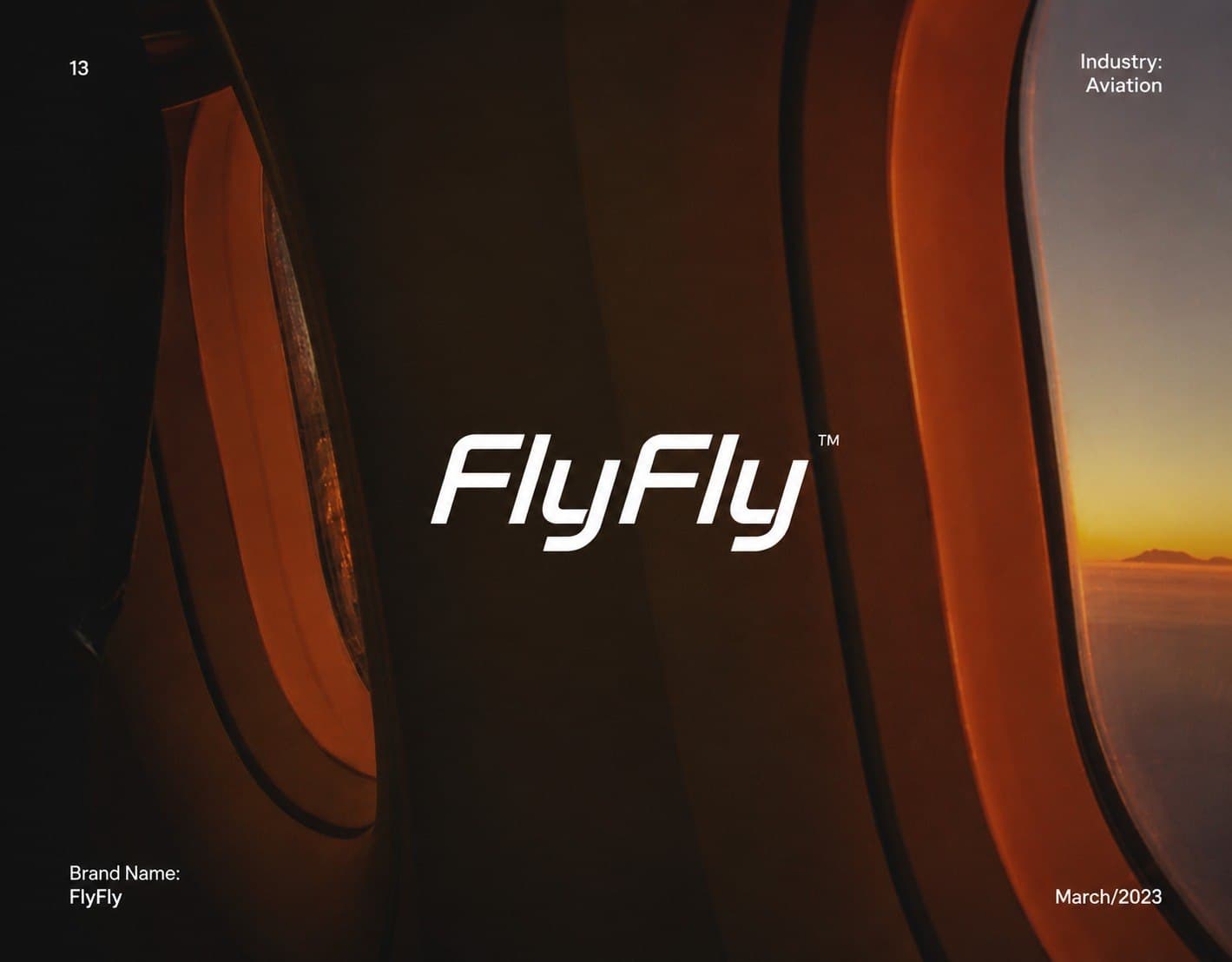 FlyFly — Concept project · designed by VITON13