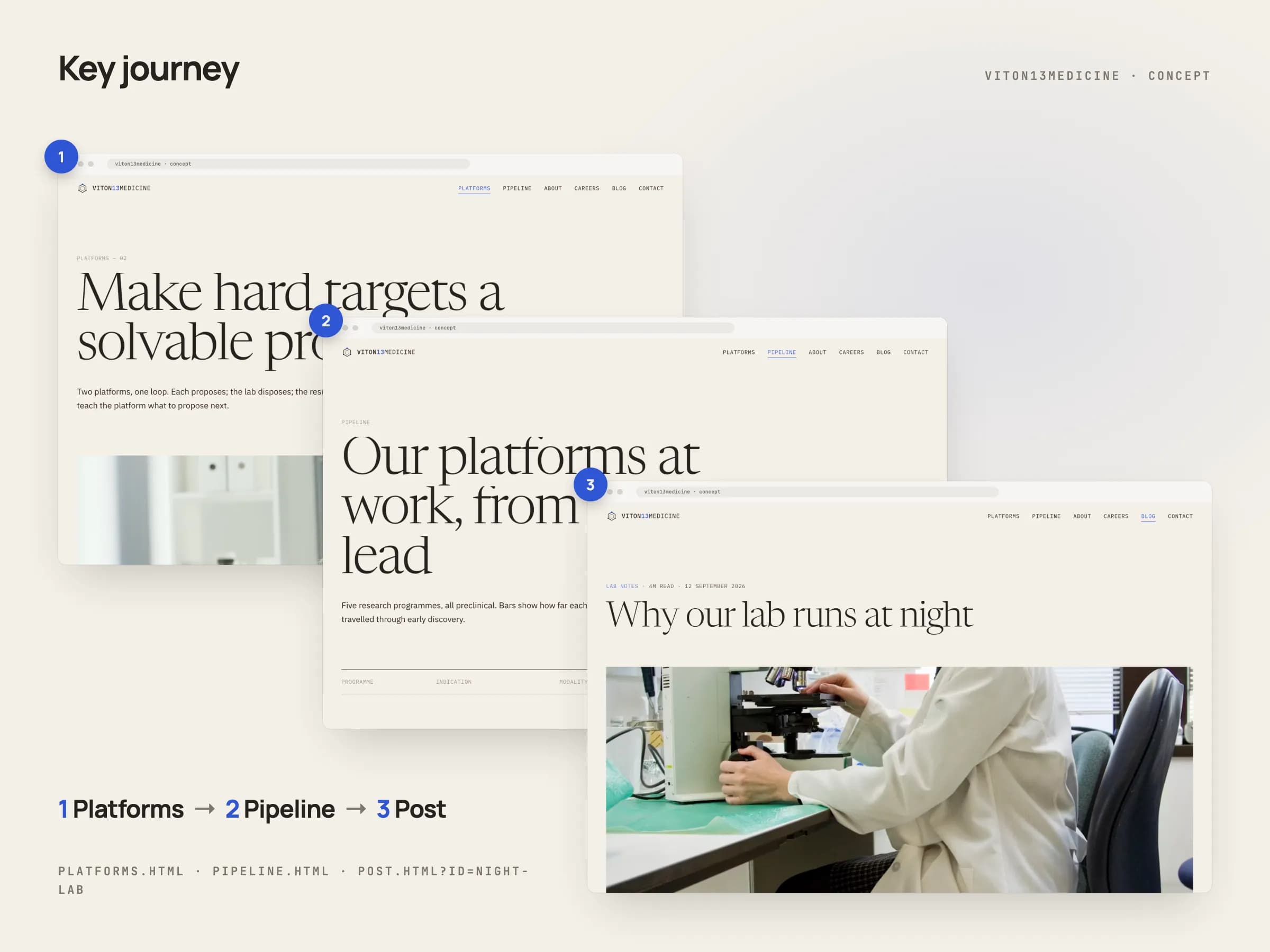Three pages in browser frames joined by arrows: Platforms with the headline “Make hard targets a solvable problem”, Pipeline with a table of five programmes and blue and mint progress bars, and the post “Why our lab runs at night”.